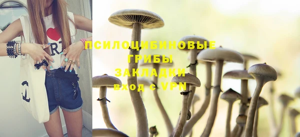 стафф Алексин