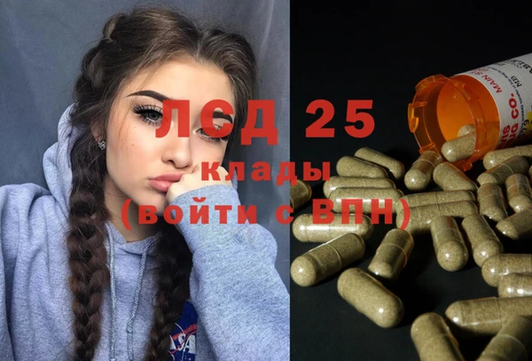 стафф Алексин